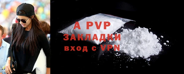 крисы Беломорск