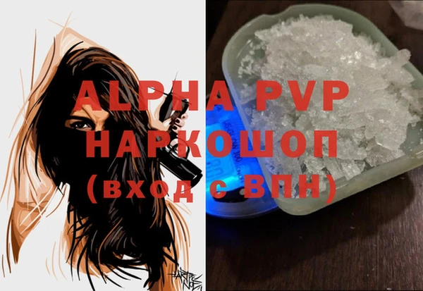 прущие крисы Белокуриха