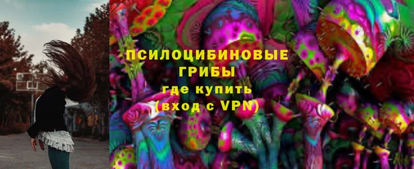прущие крисы Белокуриха