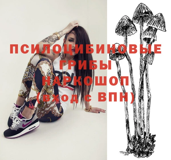 прущие крисы Белокуриха