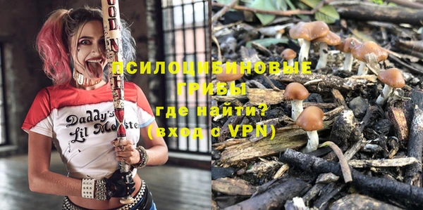прущие крисы Белокуриха