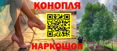 мяу мяу мука Балахна