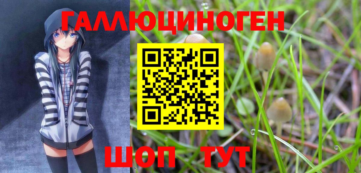 Галлюциногенные грибы Magic Shrooms Верхняя Пышма