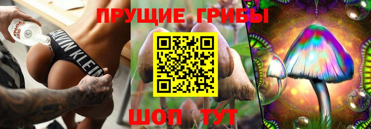 Псилоцибиновые грибы мухоморы Верхняя Пышма