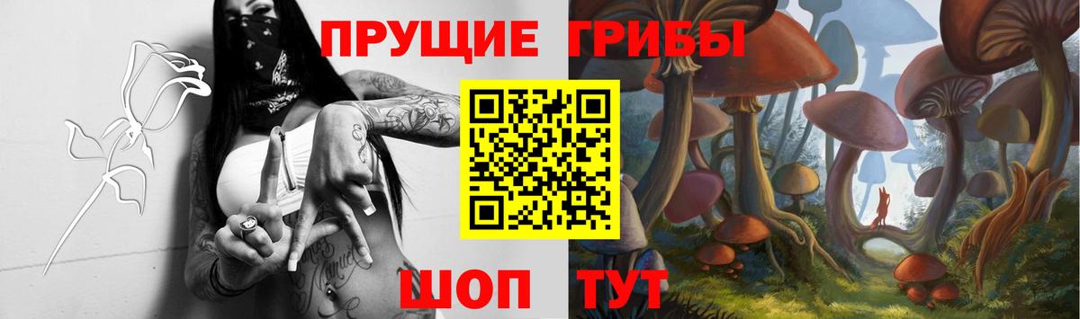 Псилоцибиновые грибы Cubensis  Псилоцибиновые грибы Cubensis  Вход с VPN  Верхняя Пышма 